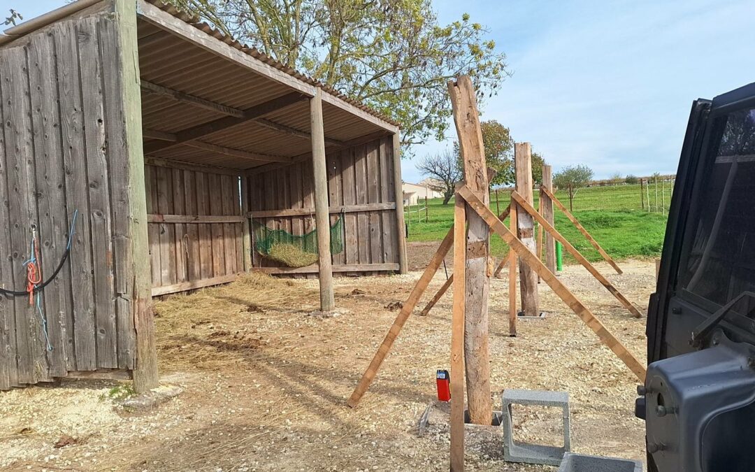 MTD Manu Terrassement Démolition MTD Manu Terrassement Démolition
